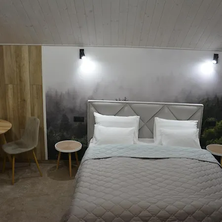 Bukovets' Guest house *