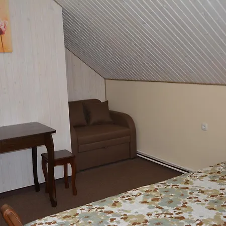 Bukovets' Guest house *
