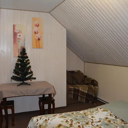 Bukovets' 3* Yaremche