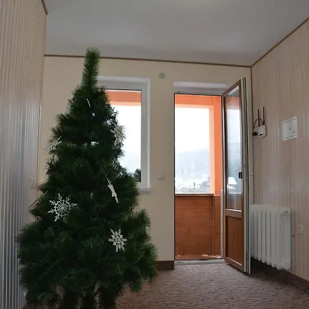 Bukovets' Guest house
