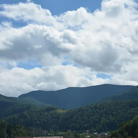 Bukovets' Πανσιόν *