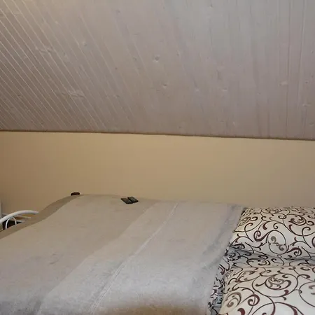 Bukovets' Guest house